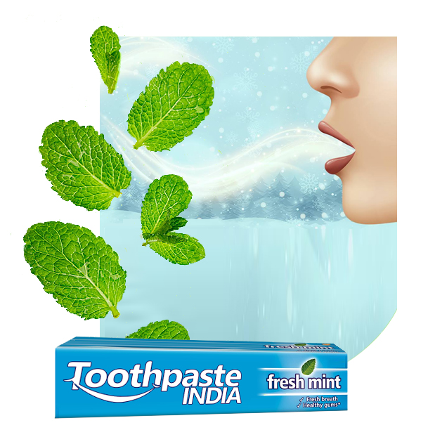 mint toothpaste suppliers in india